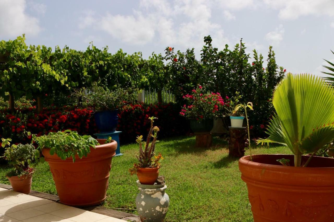 Bed & Breakfast - 6 Suites - Piscine Et Plage Pointe Faula Le Vauclin Exterior foto